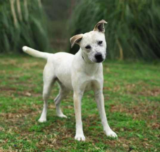Photo of Hunter