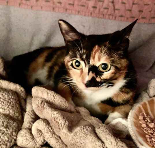 Photo of Mama