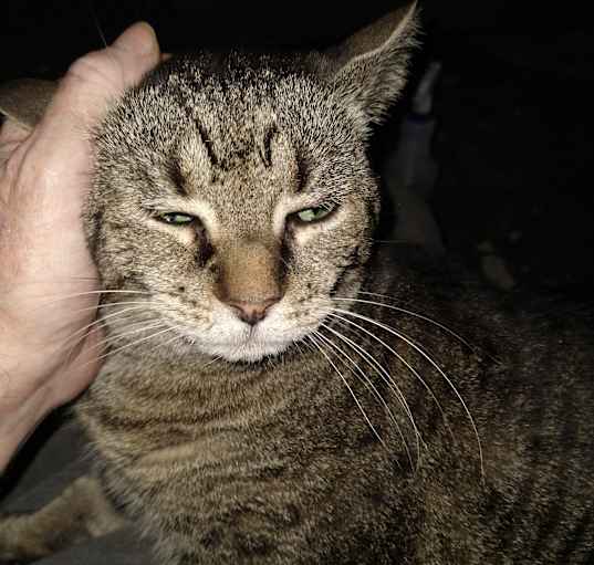 Photo of Donnie