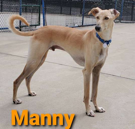 Photo of Manny