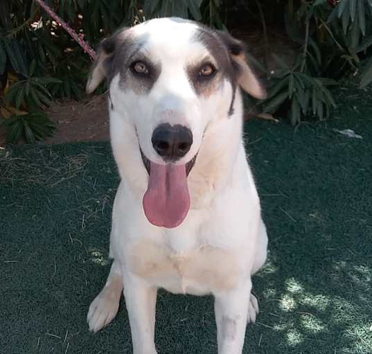 Photo of Zamara