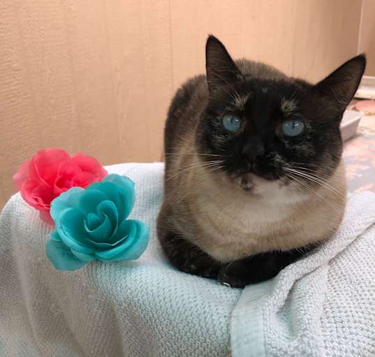 Photo of Ellie Mae