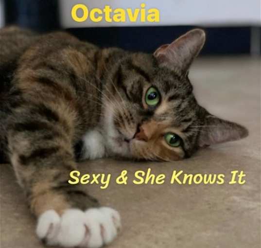 Photo of Octavia