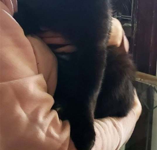 Photo of Louie