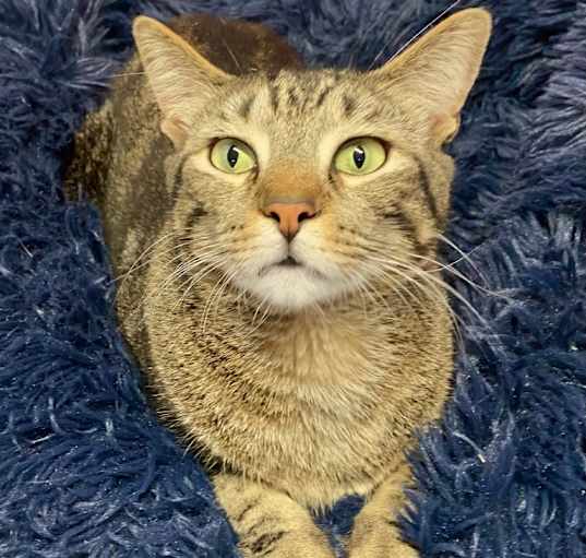 Photo of Squirt