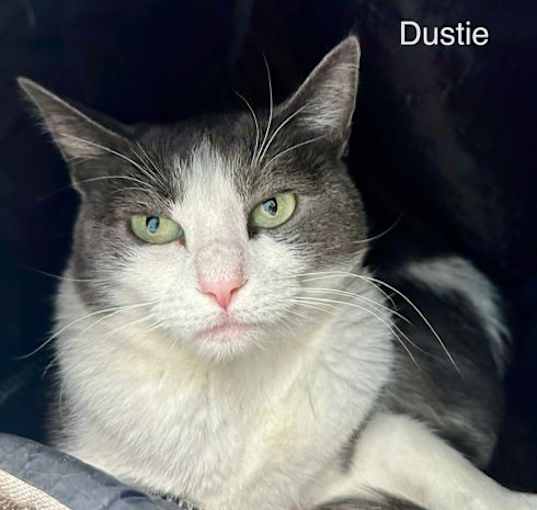 Photo of Dustie