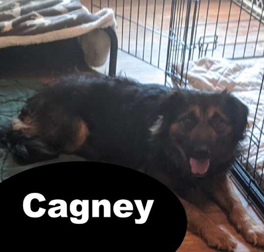 Photo of Cagney
