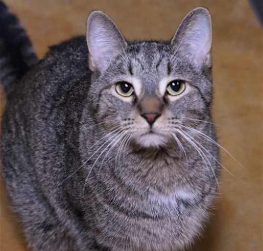 Photo of Frieda