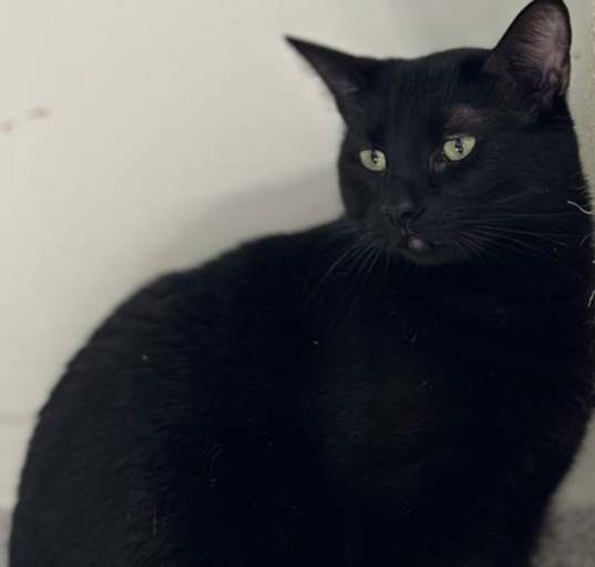 Photo of Dashi