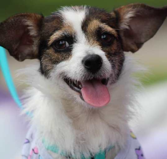Photo of Sally