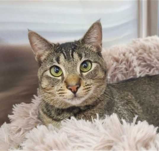 Photo of Fiona