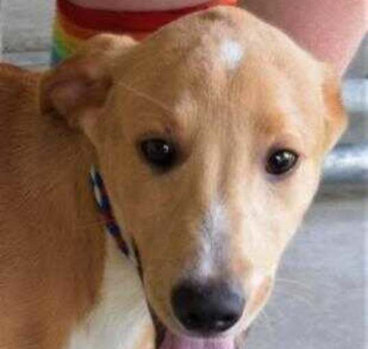 Photo of Tucker