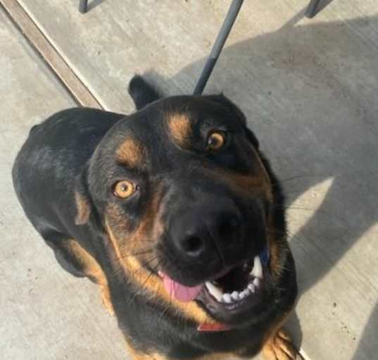 Photo of Knox