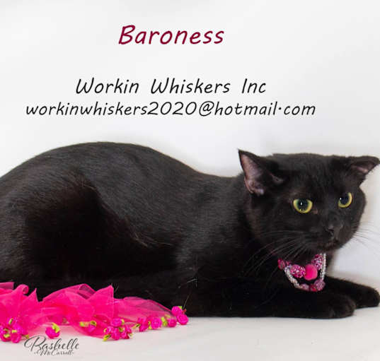 Photo of BARONESS