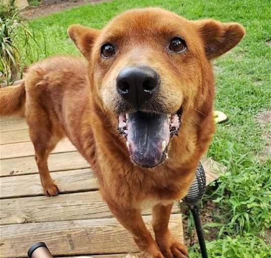 Photo of YOGIE