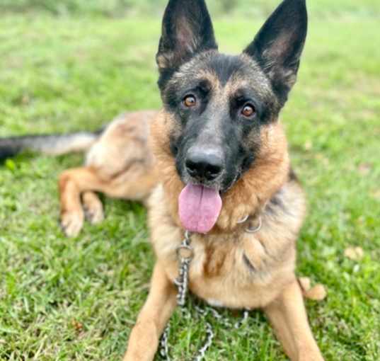 Photo of Duke