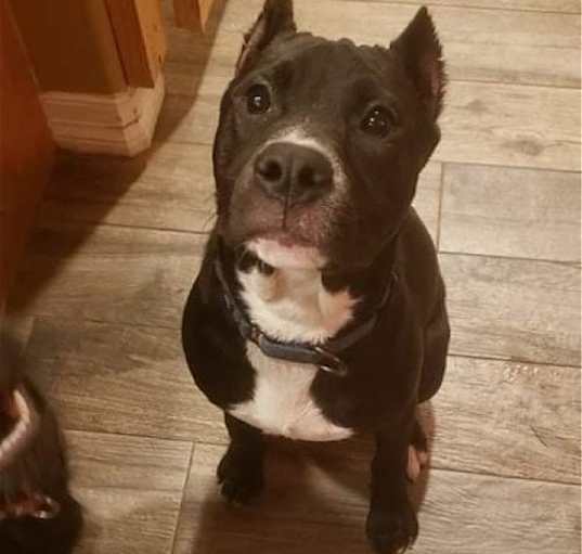 Photo of MAVIS