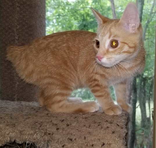 Photo of MOXIE