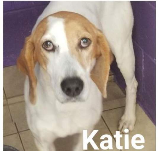 Photo of Katie