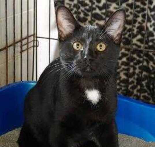 Photo of Jazz