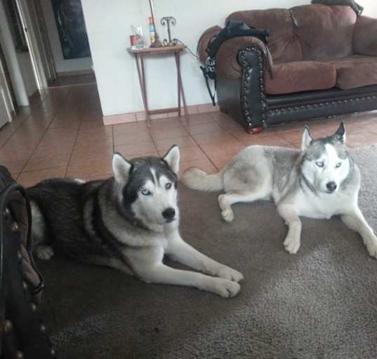 Photo of Zekariah-Ryuk