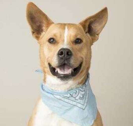 Photo of Tex