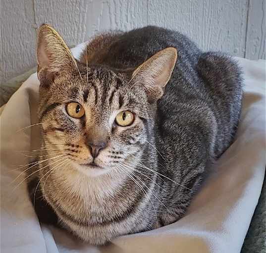 Photo of Bullseye