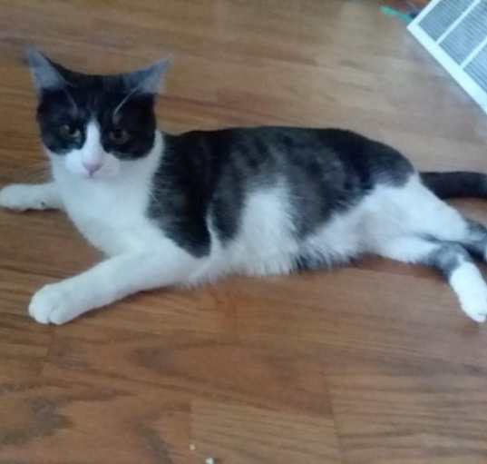 Photo of Cinder
