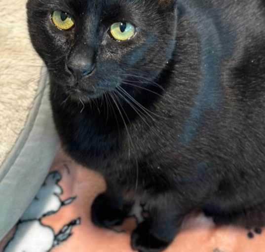 Photo of Pita