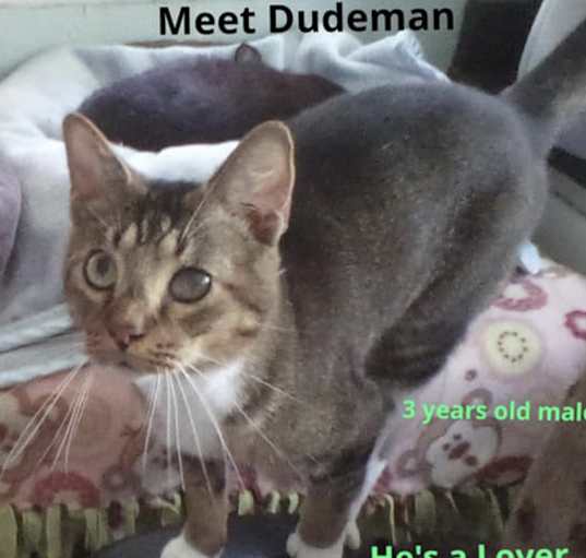 Photo of Dude
