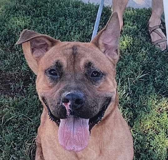 Photo of Titus