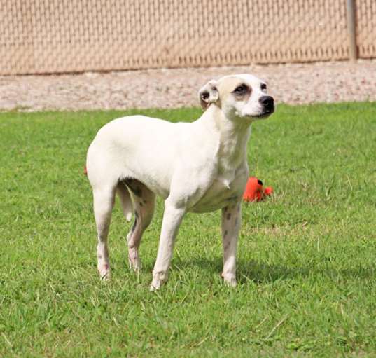 Photo of Zedra