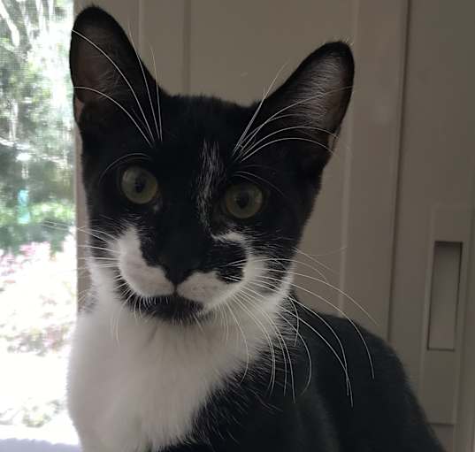 Photo of Fritz