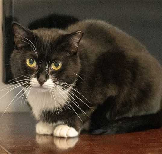 Photo of Selene