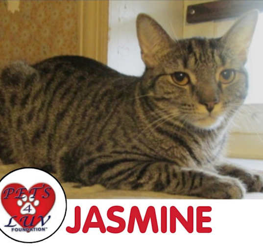 Photo of Jasmine