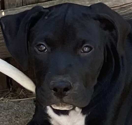 Photo of Big Boy