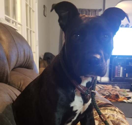Photo of WREN