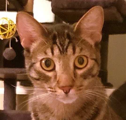 Photo of Charm
