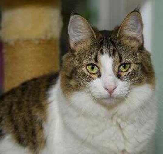 Photo of Zoey 081621