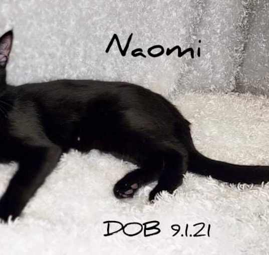 Photo of Naomi