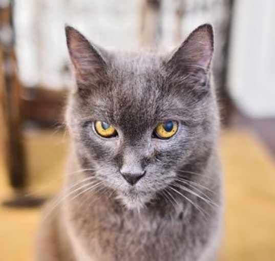 Photo of Paolo