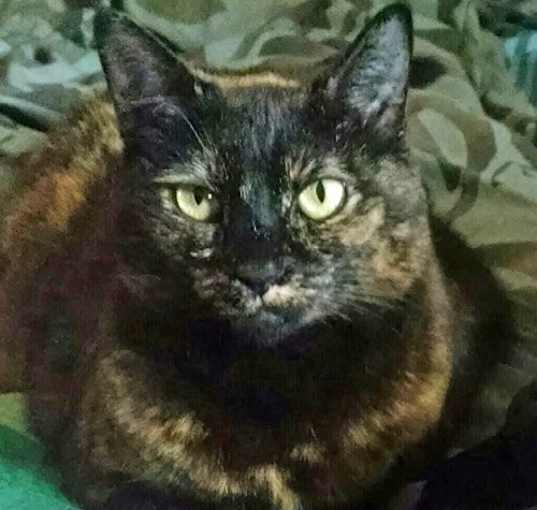 Photo of A-Gigi