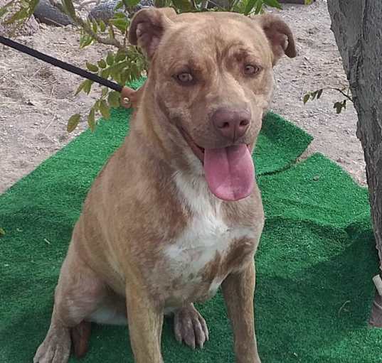 Photo of CoCo