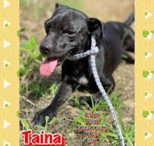 Photo of Taina PR