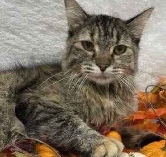 Photo of Prudence