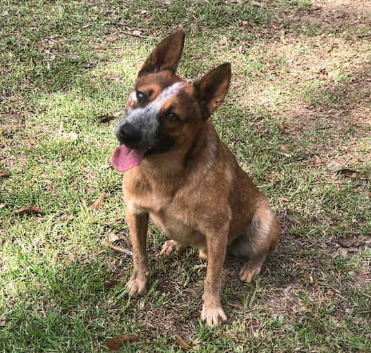 Photo of Jake