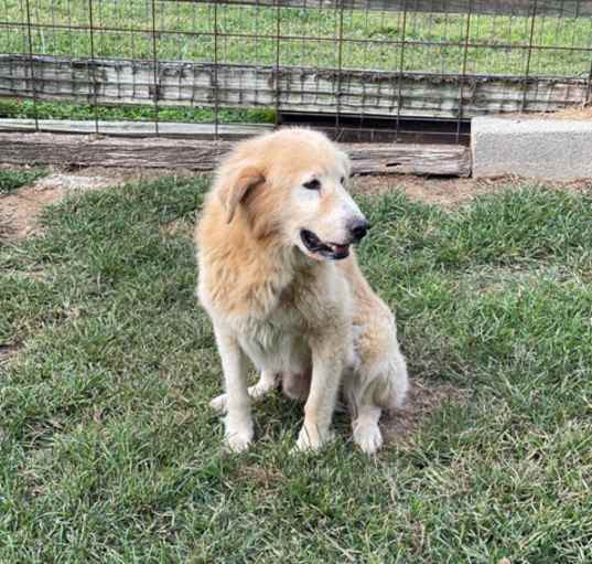 Photo of Timber