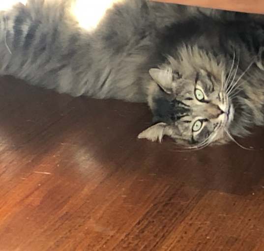 Photo of Jimmy