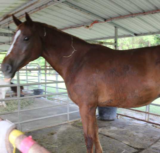 Photo of Miss Red