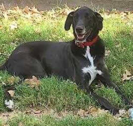 Photo of Whitney